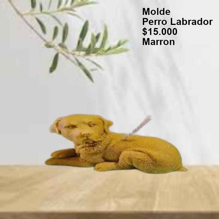 Perro labrador